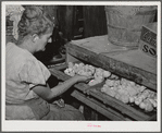 Mrs. Free, wife of FSA (Farm Security Administration) rehabilitation borrower, with incubator and baby chicks. Dead Ox Flat, Malheur County, Oregon