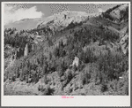 Looking toward and above timberline. Telluride, Colorado
