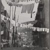 An avenue of clothes washings between 138th and 139th Street apartments, just east of St. Anne's Avenue, Bronx, New York