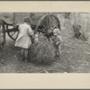 Children of Earl Pauley, playing with dolls in tumbleweed, near Smithland, Iowa