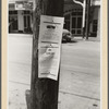 Notices of death, Saint Martinville, Louisiana. This is a very common custom to post these notices in the Southern states
