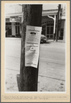 Notices of death, Saint Martinville, Louisiana. This is a very common custom to post these notices in the Southern states