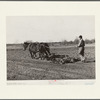 Son of Pomp Hall, Negro tenant farmer, harrowing. Creek County, Oklahoma. See general caption number 23