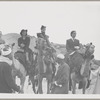 Hubert Carlin, Virginia Lee, Lisan Kay, and Yeichi Nimura riding camels in Egypt