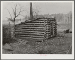 Old log chicken coop. Pembroke Farms, North Carolina