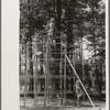 Children playing at Greenbelt, Maryland