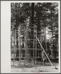 Children playing at Greenbelt, Maryland