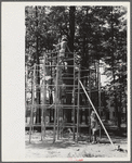 Children playing at Greenbelt, Maryland