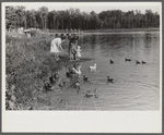 The lake at Greenbelt, Maryland