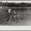 The lake at Greenbelt, Maryland