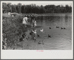 The lake at Greenbelt, Maryland