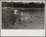 The lake at Greenbelt, Maryland