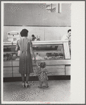 Shopping in coop store. Greenbelt, Maryland