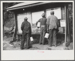 Miners looking at daily reports, checking the number of tons of slate and coal they loaded during their shift. Also to find out whether or not they work the next day. Capels, West Virginia