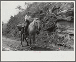 Coal miner's wife bringing groceries from company store, Caples, West Virginia