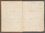 Diary entries