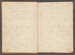 Diary entries