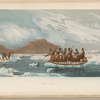 Novel Ferry 