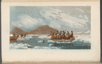 Novel Ferry 
