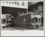 Coal being screened, Pursglove Cleaning Plant No. 2, West Virginia