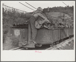 Coal miner's son swiping coal from coal cars for home use. The "Patch," Chaplin, West Virginia