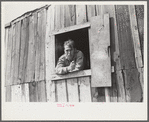 Coal miner looks out of window in his home, Bertha Hill, Scotts Run, West Virginia