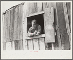 Coal miner looks out of window in his home, Bertha Hill, Scotts Run, West Virginia