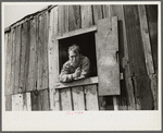 Coal miner looks out of window in his home, Bertha Hill, Scotts Run, West Virginia