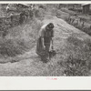 Hungarian miner's wife bringing home coal for the stove from slate pile. Coal camp, Chaplin, West Virginia