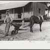 Son of J.D. Smith, rural rehabilitation borrower on undeveloped government land. The water is carried from neighbor's house. He has a new mule and fertilizing distributor bought with FSA funds, Coffee County, Alabama. The mule cost $165
