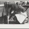 Mrs. Watkins, FSA (Farm Security Administration) borrower, Coffee County, Alabama, has two milk cows. She sells eight to ten pounds of butter each week