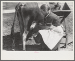 Mrs. Watkins, FSA (Farm Security Administration) borrower, Coffee County, Alabama, has two milk cows. She sells eight to ten pounds of butter each week