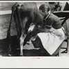 Mrs. Watkins, FSA (Farm Security Administration) borrower, Coffee County, Alabama, has two milk cows. She sells eight to ten pounds of butter each week