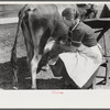 Mrs. Watkins, FSA (Farm Security Administration) borrower, Coffee County, Alabama, has two milk cows. She sells eight to ten pounds of butter each week