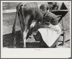 Mrs. Watkins, FSA (Farm Security Administration) borrower, Coffee County, Alabama, has two milk cows. She sells eight to ten pounds of butter each week