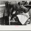 Mrs. Watkins, FSA (Farm Security Administration) borrower, Coffee County, Alabama, has two milk cows. She sells eight to ten pounds of butter each week