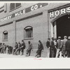 Outside of stables during mule and horse auction in Montgomery, Alabama