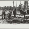 Horse and mule traders from Atlanta set up temporary camp to sell to nearby farmers near Covington, Georgia