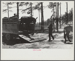 Horse and mule traders from Atlanta set up temporary camp to sell to nearby farmers near Covington, Georgia
