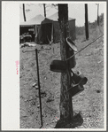 Horse and mule traders from Atlanta set up temporary camp to sell to nearby farmers near Covington, Georgia