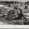 Horse and mule traders from Atlanta set up temporary camp to sell to nearby farmers near Covington, Georgia