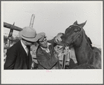 Mr. Hydrick, county supervisor, and Mr. Melody Tillery examining mouth and teeth of his mare, which has mule colt. Pike County, near Tray, Alabama