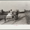 Bringing home meal from cooperative grist mill, Gees Bend, Alabama