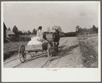 Bringing home meal from cooperative grist mill, Gees Bend, Alabama