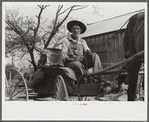 Lee Betties, rural rehabilitation client, with sack of horse and mule feed on rear of his wagon, leaving general store at Woodville, Greene County, Georgia