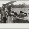 Part of George Cowley's family (rural rehabilitation), looking over pigs in sty. Pike County, Alabama