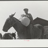 Son of one of project families bringing home meal ground from his corn in cooperative mill, Gees Bend, Alabama