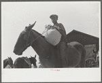 Son of one of project families bringing home meal ground from his corn in cooperative mill, Gees Bend, Alabama