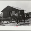 Bringing corn to cooperative mill. Gees Bend, Alabama