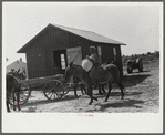 Bringing corn to cooperative mill. Gees Bend, Alabama